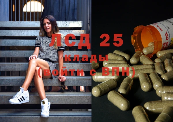 PSILOCYBIN Балабаново
