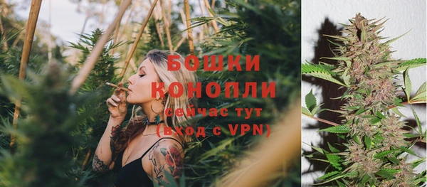 PSILOCYBIN Балабаново