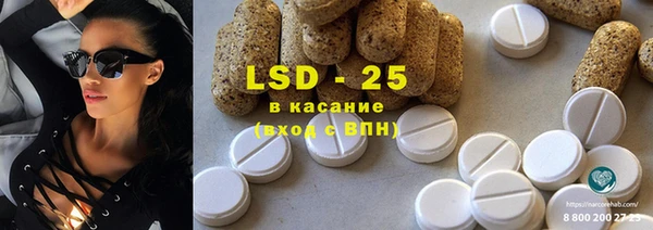 индика Приозерск